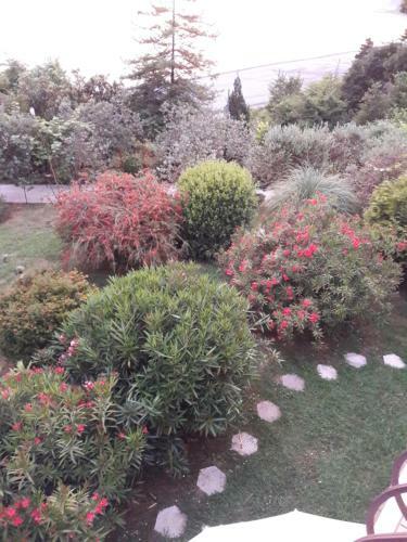 Hostal Guesthouse Alisa