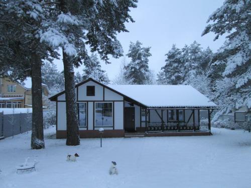 Hostal Country House Dom Pod Sosnami