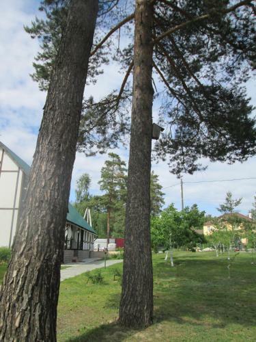 Hostal Country House Dom Pod Sosnami