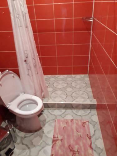 Hotel Novyi Zamok