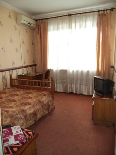 Hotel Vyshegor 310