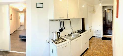 Apartment Alfa 1