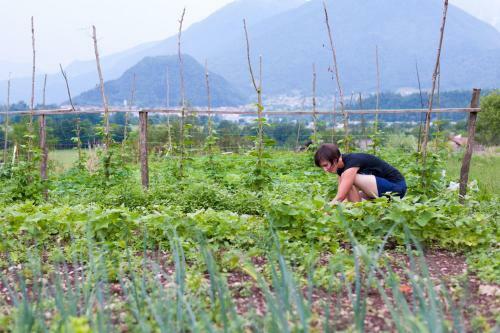 Agroturismo Tourist Farm Pri Kafolu