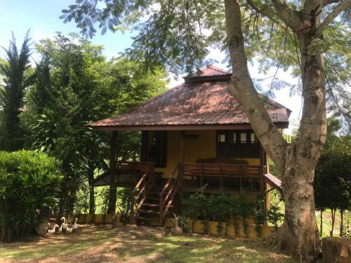 Hotel Baan Duaentara