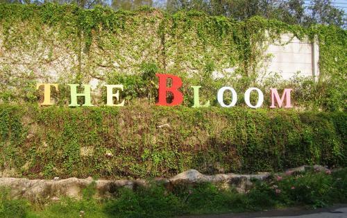 Hotel The Bloom