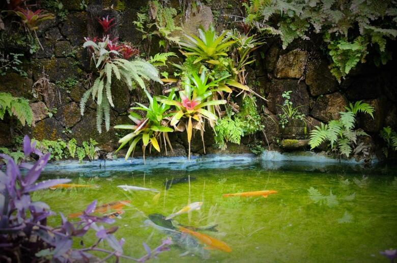 Hostal Pousada Araujo Bazilio