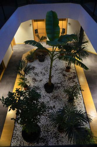 Pera Hotel L�leburgaz