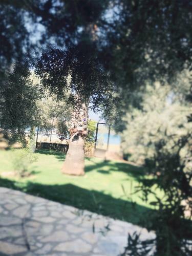Baharin Bahce Pension