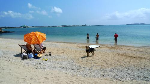 Bed & Breakfast Penghu Chenhi Bay Homestay