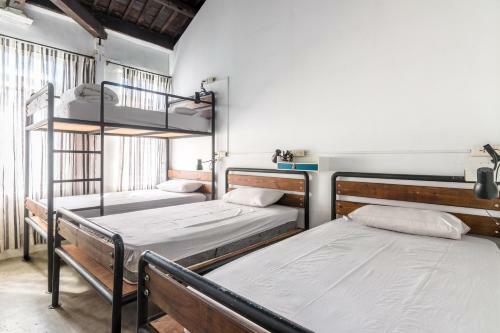 Pisces Youth Hostel