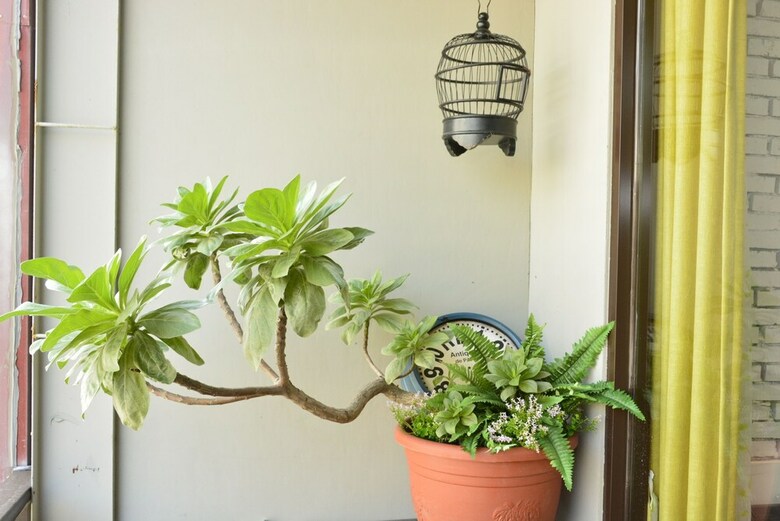 Bed & Breakfast Anping House