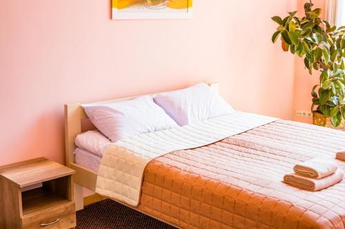 Apartment On Valova 9