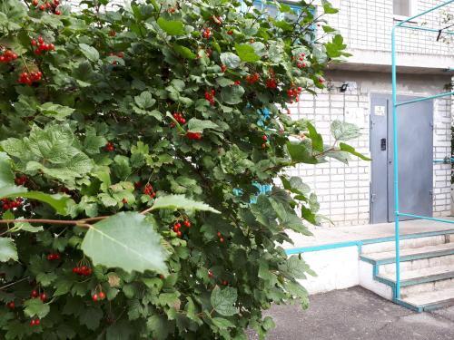 Apartamento Legendarnaia Kahovka