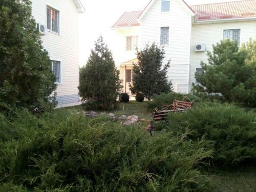 Hostal Oasis