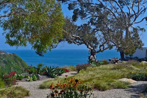 Sea Cliff