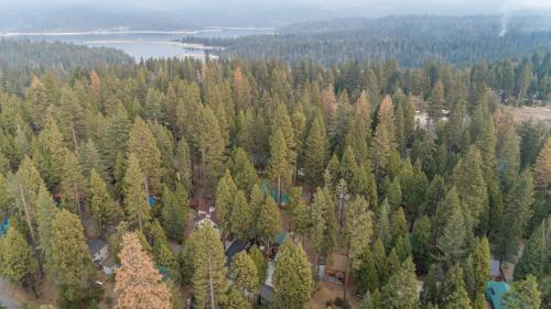Harmony Haven
