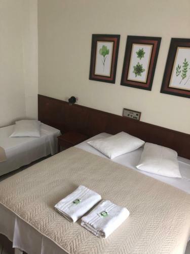 Hotel De Minas Caxambu
