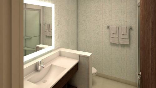 Hotel Holiday Inn Express & Suites - Van Horn