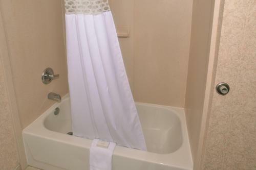 Hotel Hampton Inn & Suites Springfield