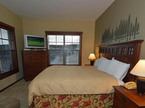 Soaring Eagle #204