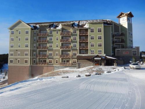 Soaring Eagle #204