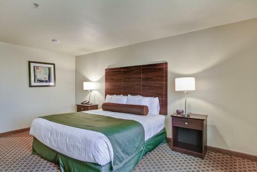 Cobblestone Hotel & Suites - Pulaski