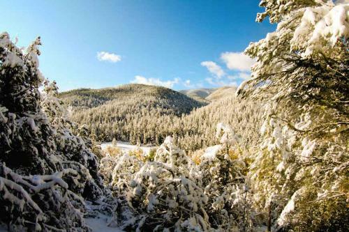 Hotel Shady Brook Inn Village/resort