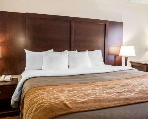 Hotel Comfort Inn & Suites At I-85