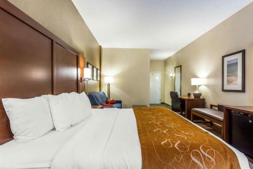Hotel Comfort Suites At The University