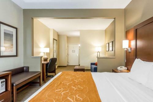 Hotel Comfort Suites At The University