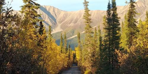 Posada Blackburn Cabins - Mccarthy, Alaska