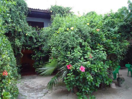 Hostal Pousada Vira Sol