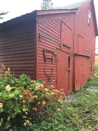 Hostal Wind In The Willows Overnight