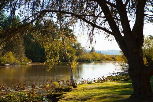 Silver Cove Rv Resort