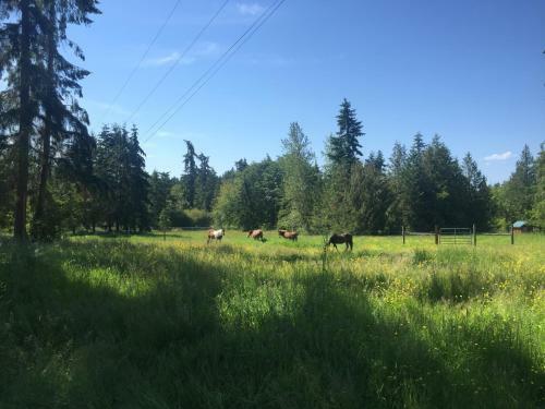 Hostal Bond Ranch Retreat