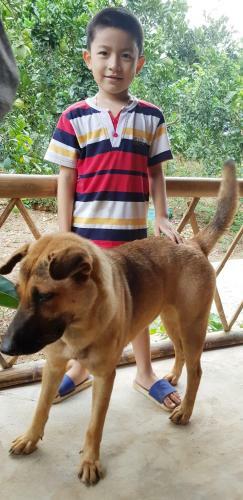 Family Homestay