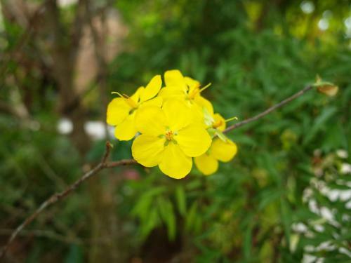 Mini Mekong Homestay In Ben Tre