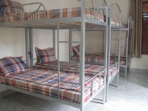 Phong Nha Gecko Hostel