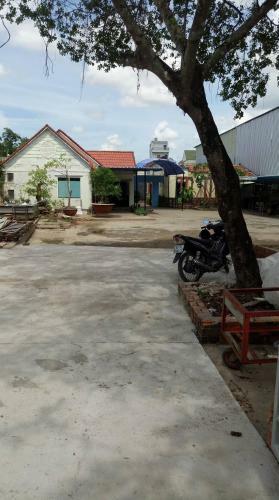 Motel Ch� Tho�ng