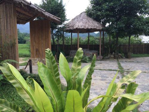 Dao Homestay