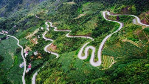 Dao Homestay