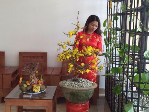 Bed & Breakfast Sweethome Hotel