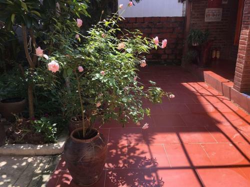 Bed & Breakfast Van Long Family Homestay