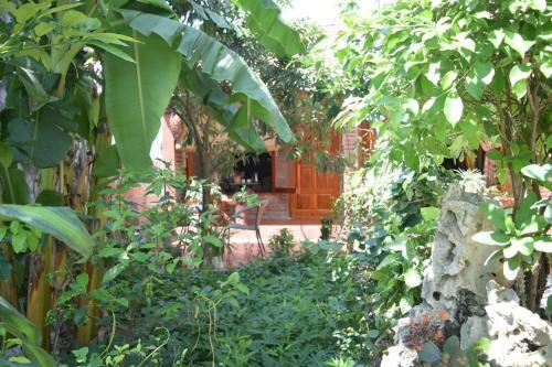Bed & Breakfast Van Long Family Homestay