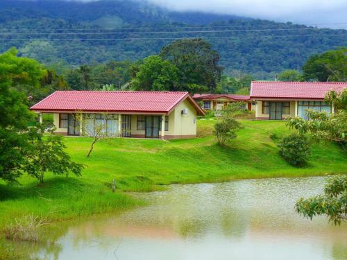 Hotel Termales Del Bosque