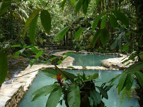Hotel Termales Del Bosque