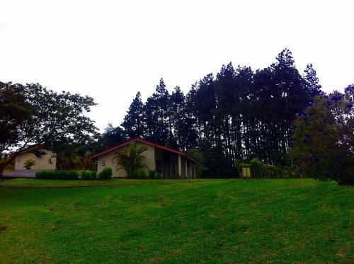 Hotel Termales Del Bosque