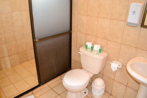 Hotel Termales Del Bosque