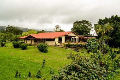 Hotel Termales Del Bosque