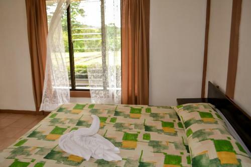 Hotel Termales Del Bosque
